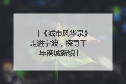 《城市风华录》走进宁波，探寻千年港城新貌