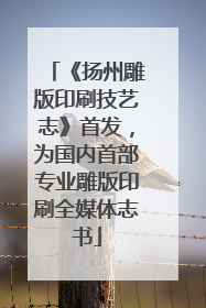《扬州雕版印刷技艺志》首发，为国内首部专业雕版印刷全媒体志书