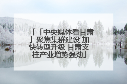「中央媒体看甘肃」聚焦集群建设 加快转型升级 甘肃支柱产业增势强劲