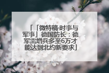 「微特稿·时事与军事」德国防长：德军需增兵多至6万才能达到北约新要求