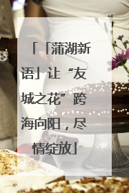 「蒲湖新语」让“友城之花”跨海向阳，尽情绽放
