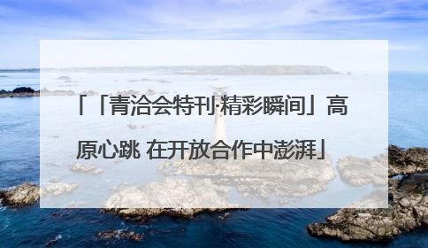 「青洽会特刊·精彩瞬间」高原心跳 在开放合作中澎湃
