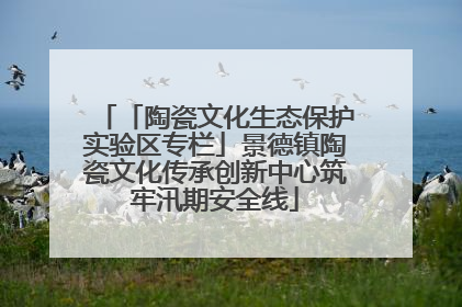 「陶瓷文化生态保护实验区专栏」景德镇陶瓷文化传承创新中心筑牢汛期安全线