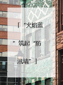“火焰蓝”筑起“防汛墙”