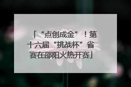 “点创成金”！第十六届“挑战杯”省赛在邵阳火热开赛