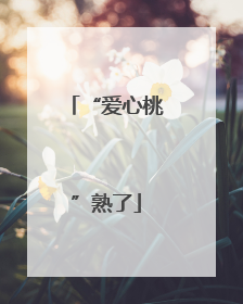 “爱心桃”熟了