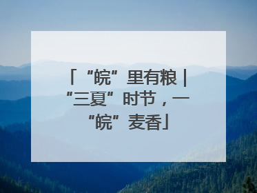 “皖”里有粮｜“三夏”时节，一“皖”麦香