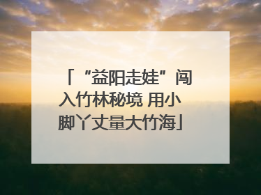 “益阳走娃”闯入竹林秘境 用小脚丫丈量大竹海