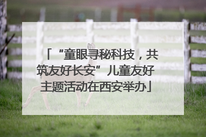 “童眼寻秘科技，共筑友好长安”儿童友好主题活动在西安举办