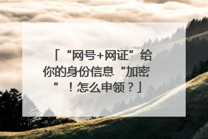 “网号+网证”给你的身份信息“加密”！怎么申领？