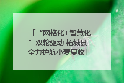 “网格化+智慧化”双轮驱动 柘城县全力护航小麦夏收