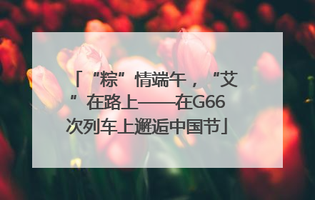 “粽”情端午，“艾”在路上——在G66次列车上邂逅中国节