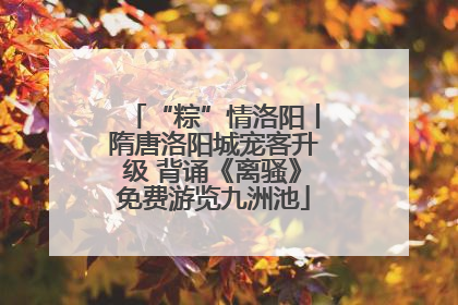 “粽”情洛阳丨隋唐洛阳城宠客升级 背诵《离骚》免费游览九洲池