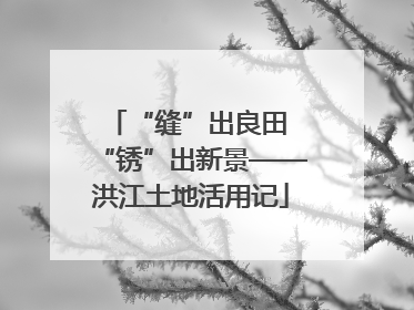 “缝”出良田 “锈”出新景——洪江土地活用记