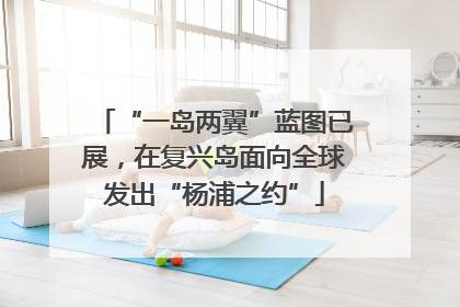 “一岛两翼”蓝图已展，在复兴岛面向全球发出“杨浦之约”
