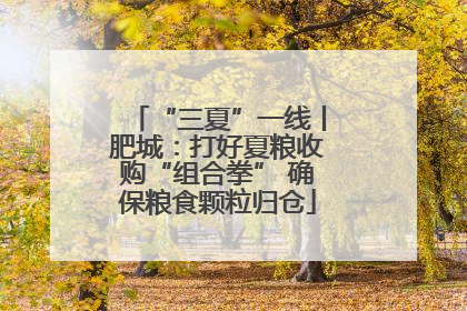 “三夏”一线丨肥城：打好夏粮收购“组合拳” 确保粮食颗粒归仓