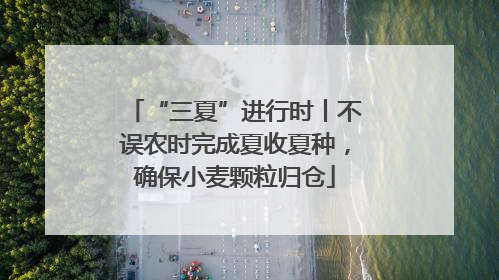 “三夏”进行时丨不误农时完成夏收夏种，确保小麦颗粒归仓