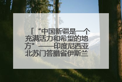 “中国新疆是一个充满活力和希望的地方”——印度尼西亚北苏门答腊省伊斯兰教代表团参访新疆