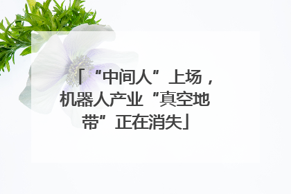 “中间人”上场，机器人产业“真空地带”正在消失