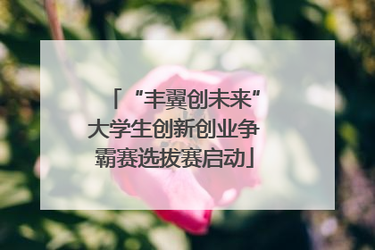 “丰翼创未来”大学生创新创业争霸赛选拔赛启动