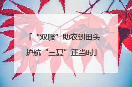“双服”助农到田头 护航“三夏”正当时