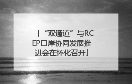 “双通道”与RCEP口岸协同发展推进会在怀化召开
