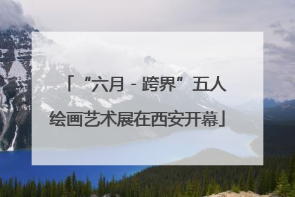 “六月 - 跨界”五人绘画艺术展在西安开幕