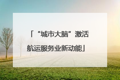 “城市大脑”激活航运服务业新动能