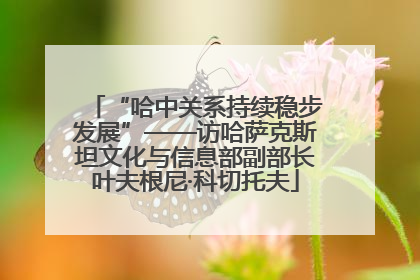“哈中关系持续稳步发展”——访哈萨克斯坦文化与信息部副部长叶夫根尼·科切托夫