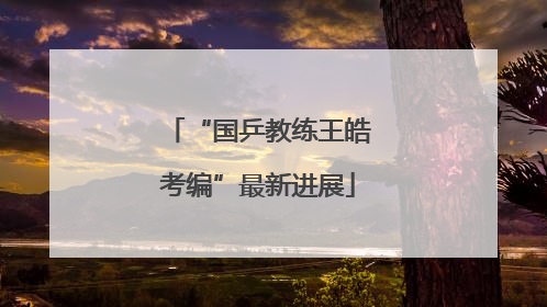 “国乒教练王皓考编”最新进展