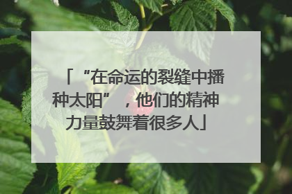 “在命运的裂缝中播种太阳”，他们的精神力量鼓舞着很多人