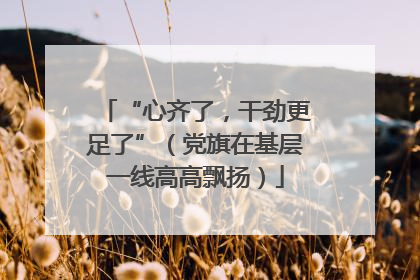 “心齐了，干劲更足了”（党旗在基层一线高高飘扬）