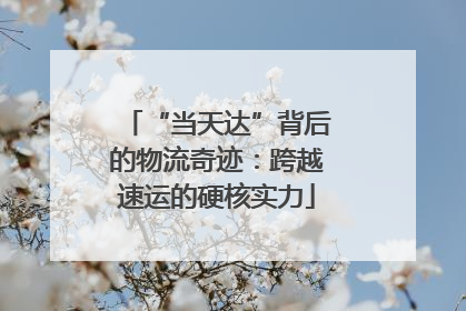 “当天达”背后的物流奇迹：跨越速运的硬核实力