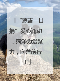 “慈善一日捐”爱心涌动，菏泽为爱聚力，向善前行！