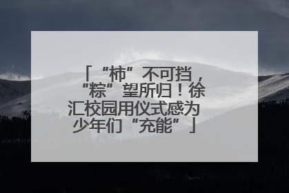 “柿”不可挡，“粽”望所归！徐汇校园用仪式感为少年们“充能”