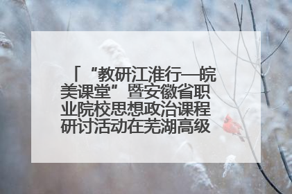 “教研江淮行—皖美课堂”暨安徽省职业院校思想政治课程研讨活动在芜湖高级职业技术学校举行