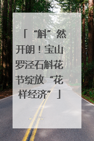 “斛”然开朗！宝山罗泾石斛花节绽放“花样经济”