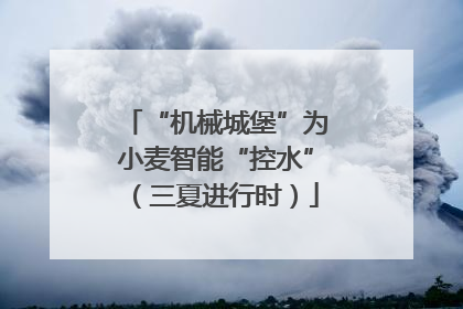 “机械城堡”为小麦智能“控水”（三夏进行时）