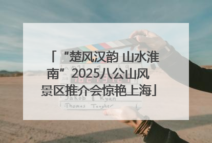 “楚风汉韵 山水淮南”2025八公山风景区推介会惊艳上海