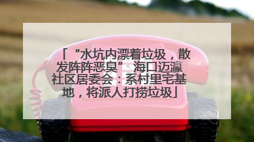 “水坑内漂着垃圾，散发阵阵恶臭” 海口迈瀛社区居委会：系村里宅基地，将派人打捞垃圾