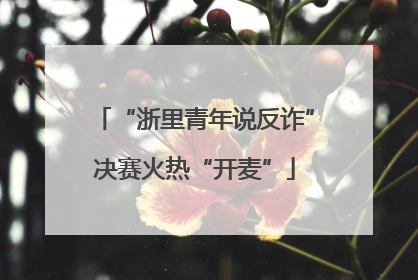“浙里青年说反诈”决赛火热“开麦”