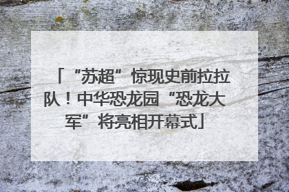 “苏超”惊现史前拉拉队！中华恐龙园“恐龙大军”将亮相开幕式