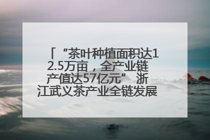 “茶叶种植面积达12.5万亩，全产业链产值达57亿元” 浙江武义茶产业全链发展“加速度”