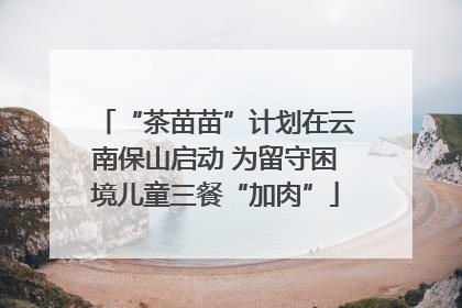 “茶苗苗”计划在云南保山启动 为留守困境儿童三餐“加肉”