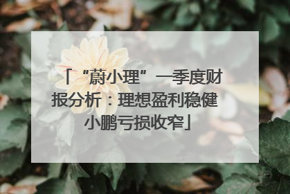 “蔚小理”一季度财报分析：理想盈利稳健 小鹏亏损收窄