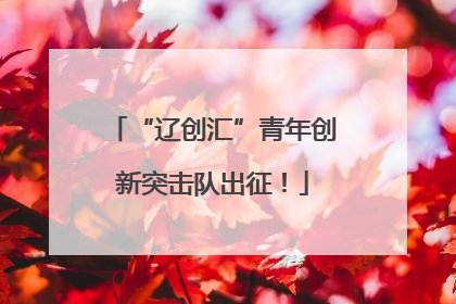 “辽创汇”青年创新突击队出征！
