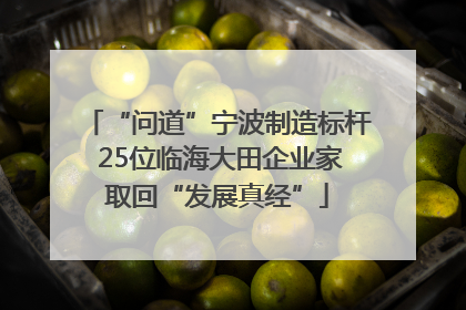 “问道”宁波制造标杆 25位临海大田企业家取回“发展真经”