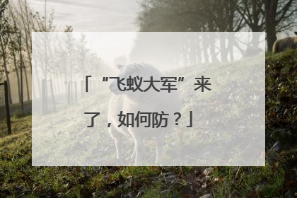 “飞蚁大军”来了，如何防？