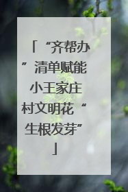 “齐帮办”清单赋能 小王家庄村文明花“生根发芽”