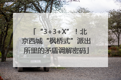 “3+3+X”！北京西城“枫桥式”派出所里的矛盾调解密码
